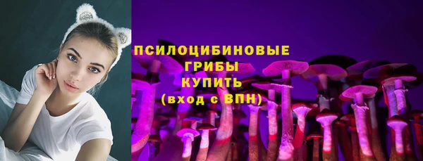 бошки Балахна
