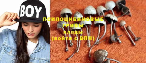сатива Балабаново