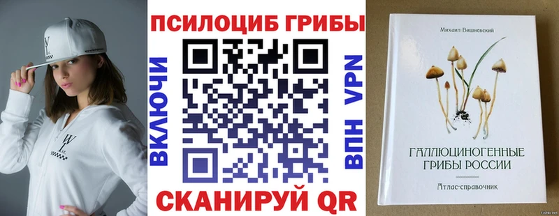 Псилоцибиновые грибы Magic Shrooms  Купить где  Новозыбков 